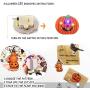 Halloween Stickers(50 Pcs)&Halloween Temporary Tattoos（60 Pcs)&Halloween Led Brooches(12 Pcs) Happy Halloween Decorations,Party Favors, Halloween Class Exchange