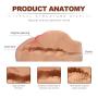 SHEQU Male Masturbator Love Doll Sex Toy with Two Natural Suction Holes, Vigrin Vagina Pussy and Tight Anal Realistic Female Ass Adult Toys for Men Masturbation 3.8 Pound (Sexy Julie Ass)