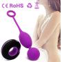 IMO Wireless Remote Control Vibrating Bullet Egg for Women or Couples - USB Rechargeable Dual Motors - Great Addition to Your Toy Box (Purple & Black,Discreet Package)