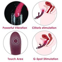 SVAKOM Lorna Touch-activated Sex Toys double heads vibrators G-Spot massagers intelligent 8 vibration (Lorna-Violet)