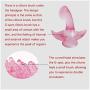 Five Styles Silicone Massagers Body Attachments Accessories
