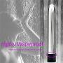 Classic Bullet Vibrator Multi-Speed Mini Handbag Personal Body Massager Sex Toy for Single Party