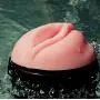 Pink Lady Original with Shower Mount Pink Lady Original with Shower Mount