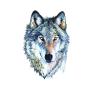 WYUEN 12 PCS/lot Wolf Temporary Tattoo Sticker for Women Men Fashion Body Art Adults Waterproof Hand Fake Tatoo 9.8X6cm FW12-01 (Wolf1)