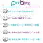 PicoBong Zizo Innie Vibe, Purple