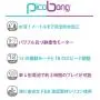 PicoBong Zizo Innie Vibe, Purple PicoBong Zizo Innie Vibe, Purple