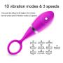 Heating Wireless Remote Control Mini Bullet Vibrator Vibrating Egg,G Spot Clitoral Dildo Nipple Vibrators for Women,Rechargeable G Spotter Stimulator,Adult Sex Toys for Women and Couples