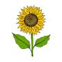 SanerLian Sunflowers Temporary Tattoo Sticker Watercolor Waterproof Women Girls Back Shoulder Arm Body Art 10.5X6cm Set of 12