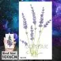 COKTAK 12Pieces/Lot 3D Watercolor Lavender Flower Temporary Tattoos For Women Body Art Arm Fake Flora Adults TattooSticker Waterproof Girls Tatoos COKTAK 12Pieces/Lot 3D Watercolor Lavender Flower Temporary Tattoos For Women Body Art Arm Fake Flora Adults TattooSticker Waterproof Girls Tatoos