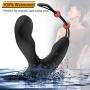 Vibrating Prostate Massager, Enlove, Anal Vibrator with Penis Ring and Dual Motor, 10 Vibrations Anal Sex Toy Anal Plug with Remote Control for Male Men and Couples