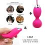 Remote Control Vibrating Egg - Adorime 10 Speed Powerful USB Rechargeable Waterproof Vibe Vibrator Massager for G-spot and Clit Stimulation for Women