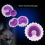 Nipple Breasts Stimulator Electric Vibrator for Women Breast Enhancement Massager Sex Toys Female Nipple Cover Sucker Clip,Female Masturbation Breast Enlarge Massager,1 Pair