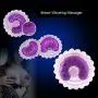 Nipple Breasts Stimulator Electric Vibrator for Women Breast Enhancement Massager Sex Toys Female Nipple Cover Sucker Clip,Female Masturbation Breast Enlarge Massager,1 Pair Nipple Breasts Stimulator Electric Vibrator for Women Breast Enhancement Massager Sex Toys Female Nipple Cover Sucker Clip,Female Masturbation Breast Enlarge Massager,1 Pair