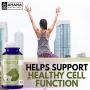 Ahana Nutrition Pure Graviola Capsules - Filled with Antioxidants & Supports The Immune System (90 Capsules) Ahana Nutrition Pure Graviola Capsules - Filled with Antioxidants & Supports The Immune System (90 Capsules)