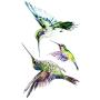 WYUEN 12 PCS Hummingbirds Temporary Tattoo Sticker for Women Men Fashion Body Art Adults Waterproof Hand Fake Tatoo 9.8X6cm (FW12-13)