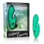 Calexotics California Dreaming Sierra Sensation Calexotics California Dreaming Sierra Sensation