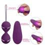 Padgene Kegel Exercise Balls Kit Ben Wa Balls Weighted with 7 Modes Remote Bladder Control Devices for Women Pelvic Floor Exercises