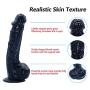 ISABELA CLS Black Realistic Waterproof Men or Female Toys Hollow Strap-On-9.25in