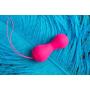 Gballs2 App Personal Sex Fitness Coach with App - Vibrating Kegel Exercises Training Kit - Adult Sex Toys for Women by G vibe