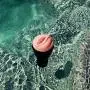Fleshlight Go Surge | Travel Masturbator | Compact and Discreet Sex Toy Fleshlight Go Surge | Travel Masturbator | Compact and Discreet Sex Toy