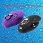 Waterproof 10 Speed Silicone Vibrator Recharge Clitoral G-Spot Massage for Couples Adult Sex Toys for Woman Sex Products (black)