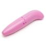 Worldgirl Powerful Mini G-Spot Vibrator