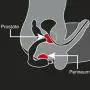 Rocks Off 7 Function Naughty Boy Vibrating Prostate Massager