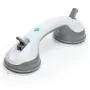 Sex in the Shower Dual Locking Suction Handle Sex in the Shower Dual Locking Suction Handle