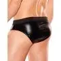 Zeus by Allure Fetishwear Wet Look Briefs Zeus by Allure Fetishwear Wet Look Briefs