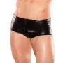 Zeus by Allure Fetishwear Wet Look Zip Boxers