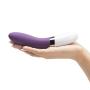 Lelo Liv 2 Luxury Rechargeable Vibrator