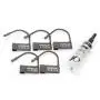 CB-X The Curve Male Chastity Cage Kit