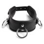 DOMINIX Deluxe Padded Leather Collar and Wrist Restraint Set
