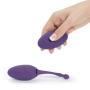 Desire Luxury Rechargeable Remote Control Love Egg Vibrator
