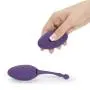 Desire Luxury Rechargeable Remote Control Love Egg Vibrator