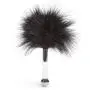Bondage Boutique Feather Tickler