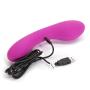 The Swan Wand Rechargeable Powerful Wand Vibrator