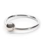DOMINIX Deluxe Steel Glans Ring
