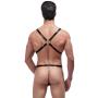 Male Power Shoulder Harness with C-Ring Waist Band