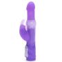 Worldgirl Dream Rabbit 10 Function Silicone Rabbit Vibrator