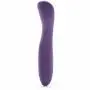 We-Vibe Rave Rechargeable App Controlled G-Spot Vibrator