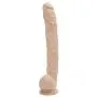 Doc Johnson Dick Rambone Cock 17 Inches