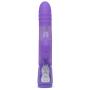 Worldgirl Dream Rabbit 10 Function Silicone Triple Rabbit Vibrator