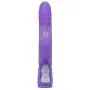 Worldgirl Dream Rabbit 10 Function Silicone Triple Rabbit Vibrator