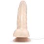 Lifelike Lover Classic Curved Realistic Dildo Vibrator 8 Inch