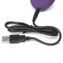 Desire Luxury Rechargeable Remote Control Knicker Vibrator