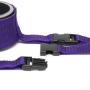 Purple Reins Hogtie Restraint