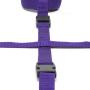 Purple Reins Hogtie Restraint