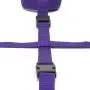 Purple Reins Hogtie Restraint