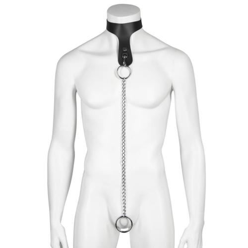 DOMINIX Deluxe Leather Collar with Cock Ring